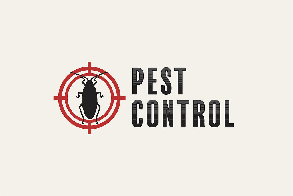 The-Basics-of-Pest-Control